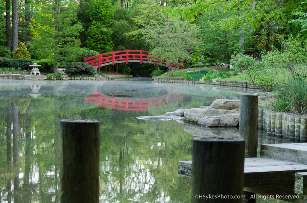 Duke Asiatic Gardens by Howard Sykes of HSykes Photo